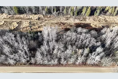 Parcel A Parameter Road, Deer River, MN 56636 - Photo 3