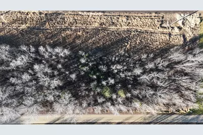 Parcel A Parameter Road, Deer River, MN 56636 - Photo 7