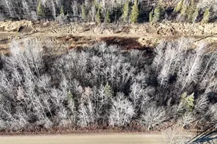 Parcel A Parameter Rd, Deer River, MN 56636 - Photo 1