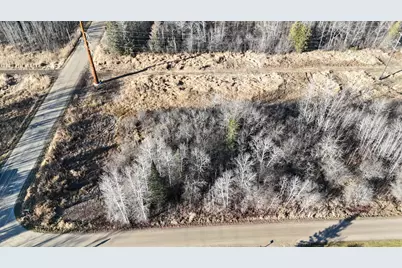 Parcel C Parameter Road, Deer River, MN 56636 - Photo 3