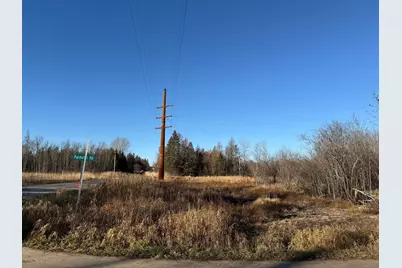 Parcel C Parameter Road, Deer River, MN 56636 - Photo 9