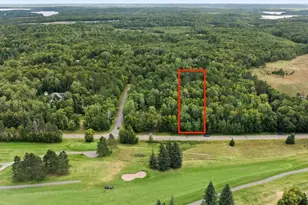 Tbd Dove St, Breezy Point, MN 56472 - Photo 1