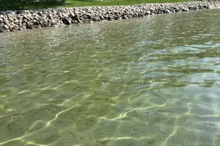 22985 122nd St, Glenwood, MN 56334 - Photo 5