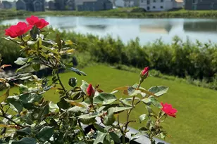 5336 W 177th St, Lakeville, MN 55044 - Photo 3