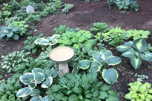 4315 Woods Way, Minnetonka, MN 55345 - Photo 19