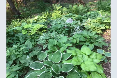 4315 Woods Way, Minnetonka, MN 55345 - Photo 21