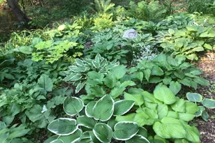 4315 Woods Way, Minnetonka, MN 55345 - Photo 21