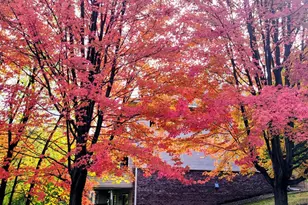 617 Crane Creek Ln, Eagan, MN 55121 - Photo 35