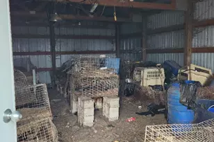 77348 325th St, Ellendale, MN 56026 - Photo 41