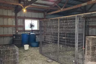 77348 325th St, Ellendale, MN 56026 - Photo 43