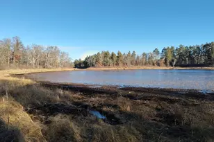 28515 Fool's Lk Dr, Two Inlets Township, MN 56470 - Photo 1