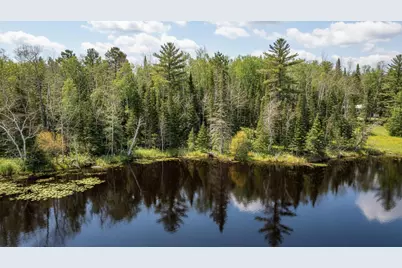 0000 Bass Lake Road, Gilbert, MN 55741 - Photo 13