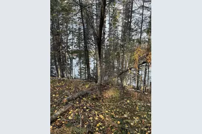 0000 Bass Lake Road, Gilbert, MN 55741 - Photo 33