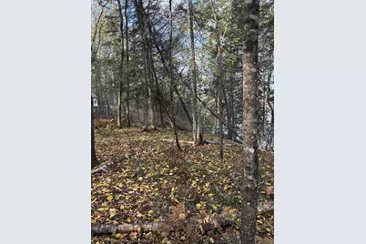 0000 Bass Lake Road, Gilbert, MN 55741 - Photo 19