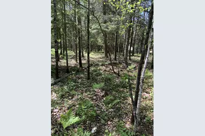0000 Bass Lake Road, Gilbert, MN 55741 - Photo 23