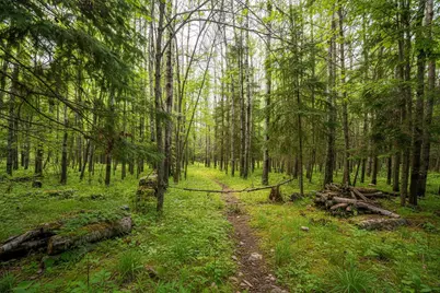 0000 Bass Lake Road, Gilbert, MN 55741 - Photo 23