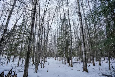 0000 Bass Lake Road, Gilbert, MN 55741 - Photo 27