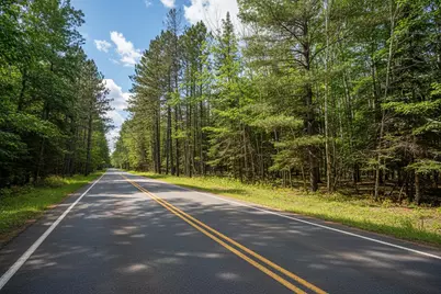 0000 Bass Lake Road, Gilbert, MN 55741 - Photo 21