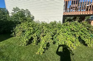 2814 Addison Ave, Brainerd, MN 56401 - Photo 37