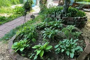 3820 40th Ave S, Minneapolis, MN 55406 - Photo 21