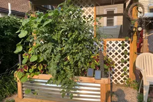 3820 40th Ave S, Minneapolis, MN 55406 - Photo 23