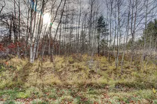 7557 Fallen Leaf Cir, Pequot Lakes, MN 56472 - Photo 3