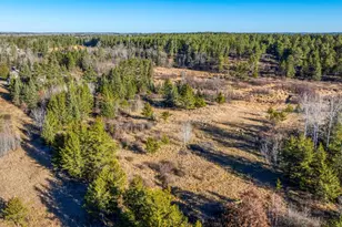 39494 County 4, Lake George Township, MN 56458 - Photo 39