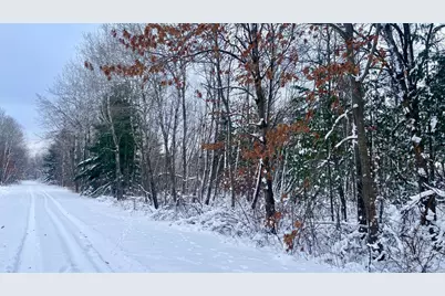 Tbd Spruce Circle, Garrison, MN 56450 - Photo 1