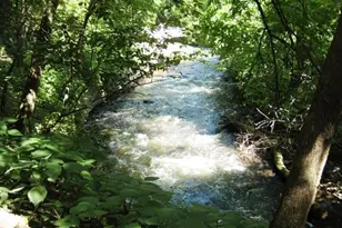 4212 Nawadaha Blvd, Minneapolis, MN 55406 - Photo 67