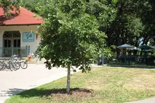 4212 Nawadaha Blvd, Minneapolis, MN 55406 - Photo 59