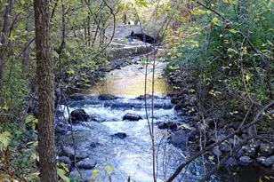 4212 Nawadaha Blvd, Minneapolis, MN 55406 - Photo 57