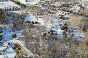 24131 Mn Hwy 15, Dassel, MN 55325 - Photo 43