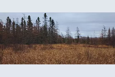 Tbd (Parcel C) Olson Road, Hinckley, MN 55037 - Photo 15