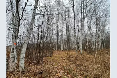 Tbd (Parcel C) Olson Road, Hinckley, MN 55037 - Photo 19
