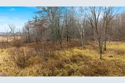 Tbd (Parcel C) Olson Road, Hinckley, MN 55037 - Photo 7