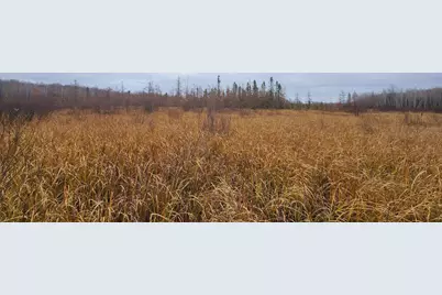 Tbd (Parcel C) Olson Road, Hinckley, MN 55037 - Photo 13