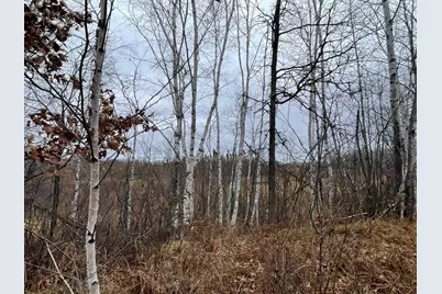 Tbd (Parcel C) Olson Road, Hinckley, MN 55037 - Photo 9