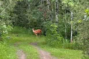 5834 County 4 NE, Remer, MN 56672 - Photo 19