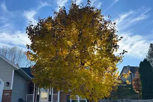 5303 Nicklaus Dr NW, Rochester, MN 55901 - Photo 39