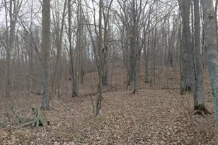 28153 E Hardwood Ln, Brook Park, MN 55007 - Photo 41