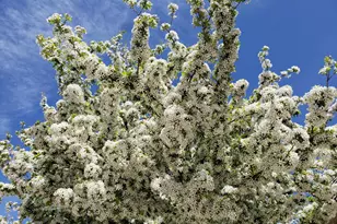 18434 Bearpath Trail, Eden Prairie, MN 55347 - Photo 105