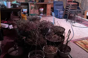 7330 64th Ave NE, Remer, MN 56672 - Photo 21