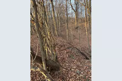 Lot 1 Cty Rd B, Woodville, WI 54028 - Photo 11