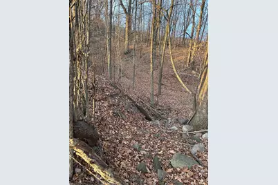 Lot 1 Cty Rd B, Woodville, WI 54028 - Photo 7