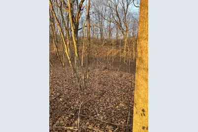 Lot 1 Cty Rd B, Woodville, WI 54028 - Photo 9