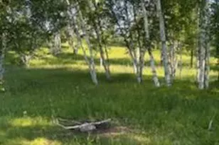 15370 Mallard, Brook Park, MN 55007 - Photo 1