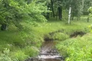 15370 Mallard, Mission Creek Twp, MN 55007 - Photo 5