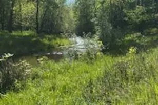 15370 Mallard, Mission Creek Twp, MN 55007 - Photo 3