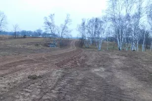 15370 Mallard, Mission Creek Twp, MN 55007 - Photo 7