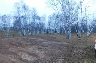 15370 Mallard, Mission Creek Twp, MN 55007 - Photo 9